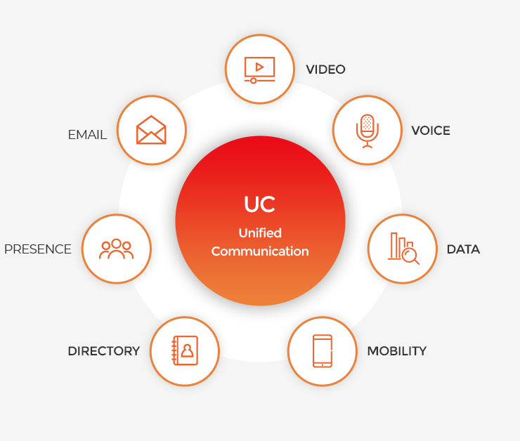 IP Telepony & IP CC / Network / 운영 유지보수