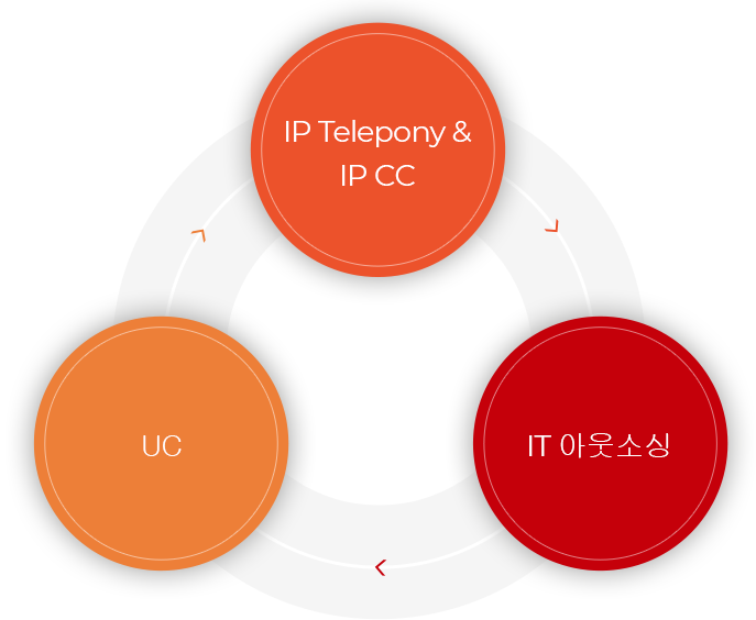 IP Telepony & IP CC / Network / 운영 유지보수