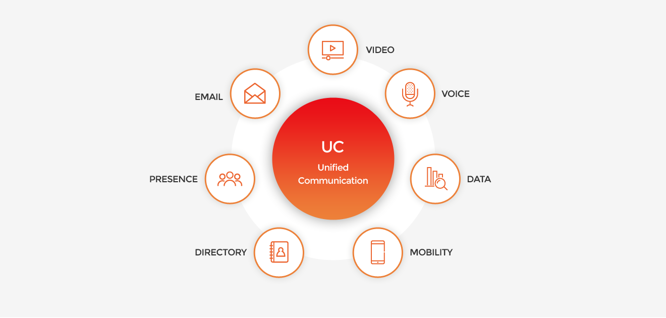 IP Telepony & IP CC / Network / 운영 유지보수